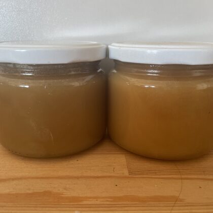 Pure forest honey