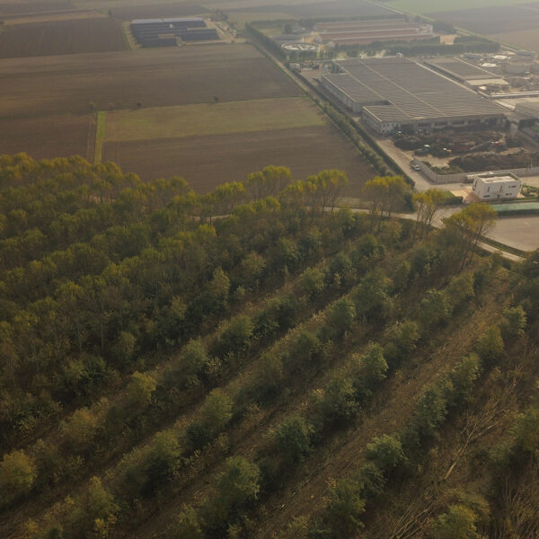 Maja Lindström, Azienda Agricola San Bonifacio 