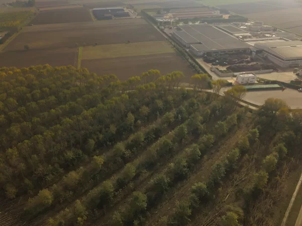 Maja Lindström, Azienda Agricola San Bonifacio 