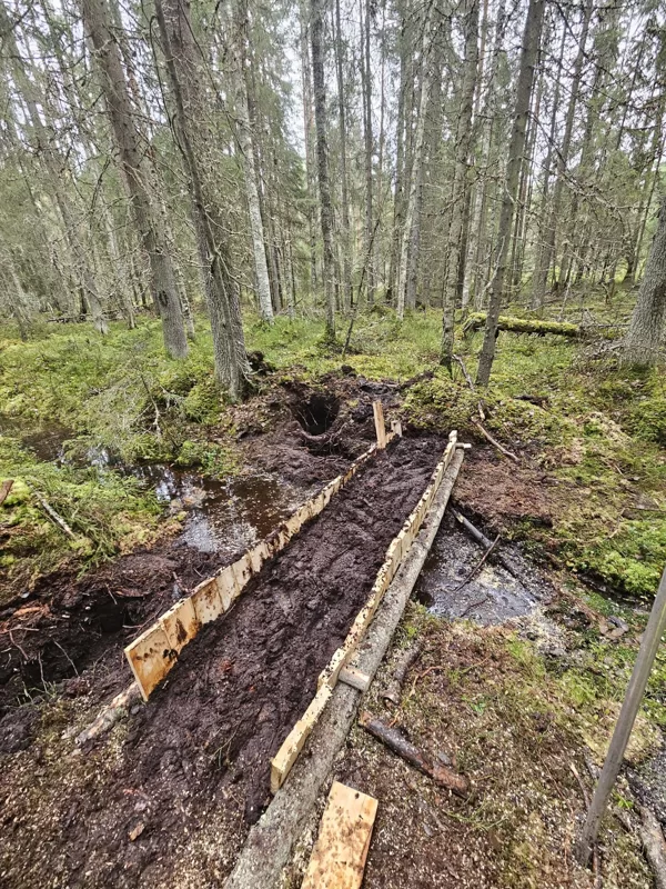 ditch plugging