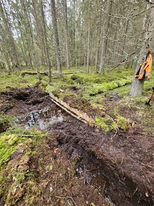ditch plugging