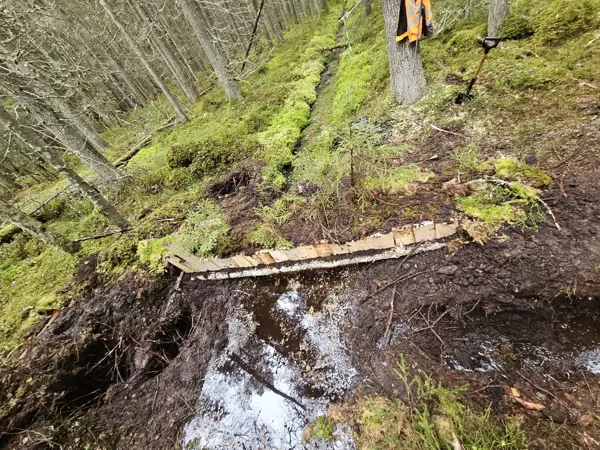 ditch plugging
